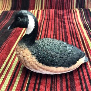 Canadian Goose (larger ducks not included)